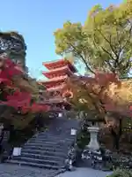 竹林寺の景色