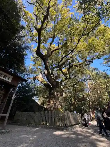 熱田神宮(愛知県)