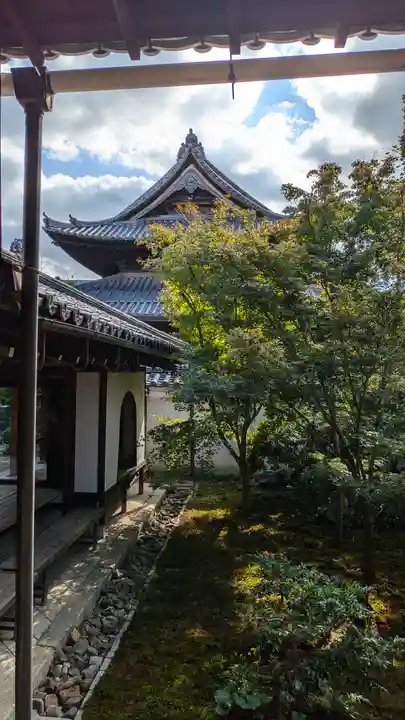 興聖寺(京都府)