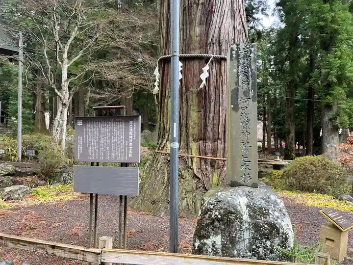 河口浅間神社のその他建物