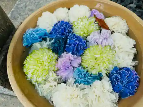 彌都加伎神社の手水舎