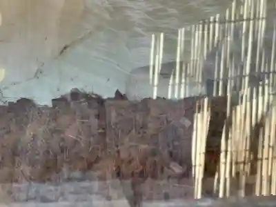 八坂神社(群馬県)