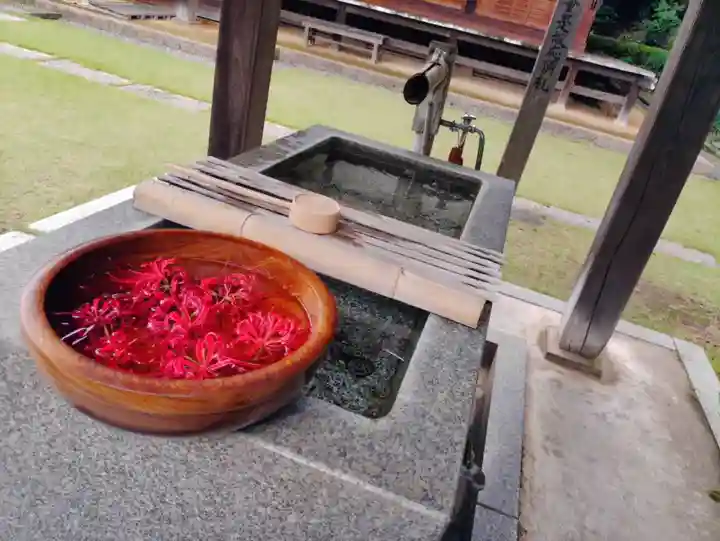 横浜 西方寺の手水舎