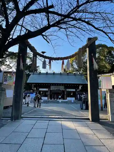 伊勢山皇大神宮の鳥居