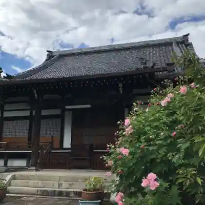本満寺（本願満足寺）の本殿・本堂