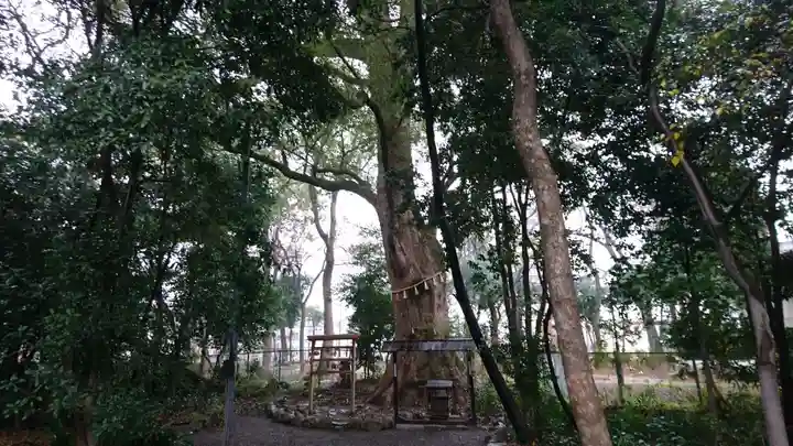 高座結御子神社(熱田神宮摂社)の自然