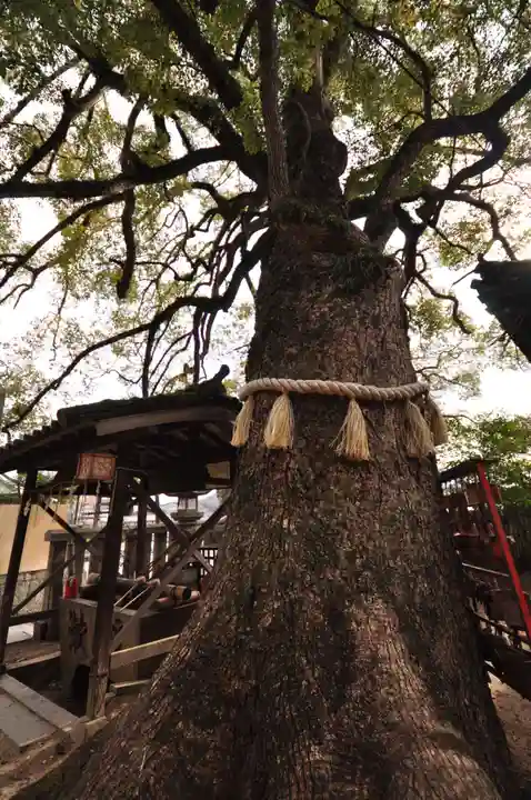 御袖天満宮(広島県)