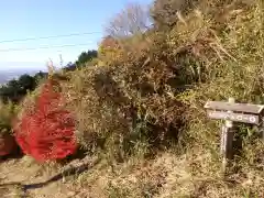 筑波山神社 女体山御本殿の周辺