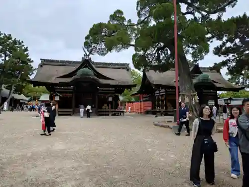 住吉大社(大阪府)