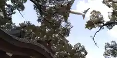 春日神社(大阪府)