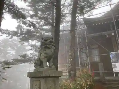 石鎚神社　土小屋遥拝殿の狛犬
