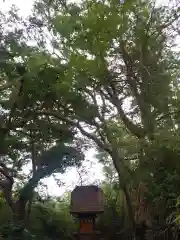 惶根神社の本殿