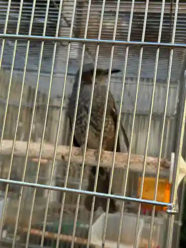 榮久山大法寺(東京都)