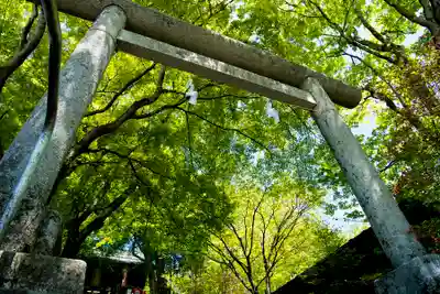 碓氷峠熊野神社(群馬県)