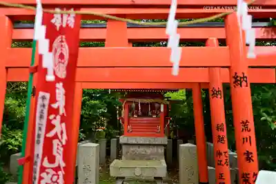 東伏見稲荷神社の鳥居
