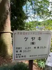 安住神社(栃木県)