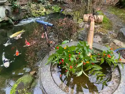 一條殿 新善光寺(京都府)