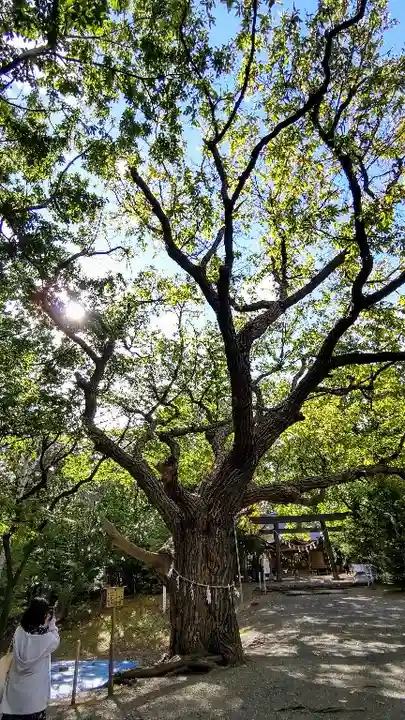 相馬神社の自然