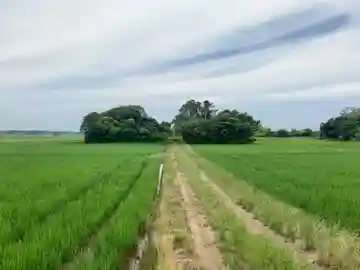 椿神社(千葉県)