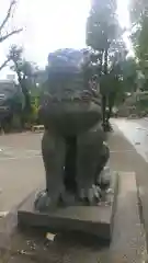 鳩森八幡神社の狛犬