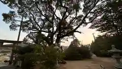 熊野神社(兵庫県)