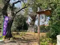 芝東照宮の{uncategorized: "未分類", other: "その他", undefined: "問題あり", building: "その他建物", grave: "お墓", sacred_gate: "鳥居", guardian: "狛犬", statue: "像", buddha: "仏像", history: "歴史", nature: "自然", garden: "庭園", animal: "動物", pagoda: "塔", temizu: "手水舎", mountain_gate: "山門・神門", sanctuary: "本殿・本堂", subordinate: "末社・摂社", art: "芸術", scenery: "景色", jizo: "地蔵", ema: "絵馬", goshuin: "御朱印", omikuji: "おみくじ", items: "授与品その他", amulet: "お守り", goshuincho: "御朱印帳", eats: "食事", festival: "お祭り", votive_dance: "神楽", shichigosan: "七五三参", wedding: "結婚式", experience: "体験その他", initially: "初詣", around: "周辺", anti_infection: "感染症対策"}