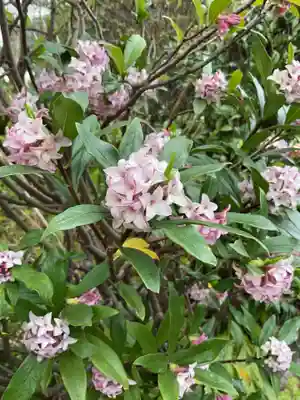 護国之寺(岐阜県)