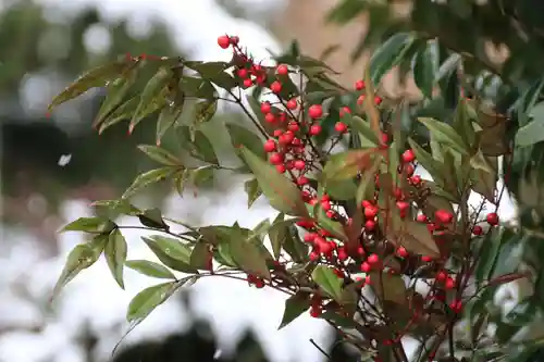 開成山大神宮の手水