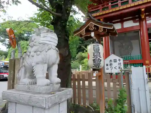 瀧泉寺（目黒不動尊）の狛犬