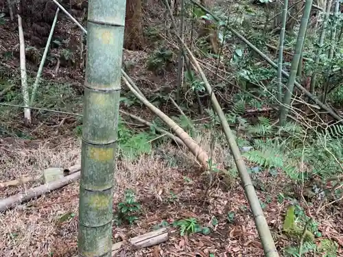 日枝神社の自然