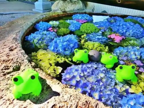 立志神社の手水舎