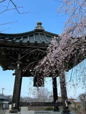 陽林寺の{uncategorized: "未分類", other: "その他", undefined: "問題あり", building: "その他建物", grave: "お墓", sacred_gate: "鳥居", guardian: "狛犬", statue: "像", buddha: "仏像", history: "歴史", nature: "自然", garden: "庭園", animal: "動物", pagoda: "塔", temizu: "手水舎", mountain_gate: "山門・神門", sanctuary: "本殿・本堂", subordinate: "末社・摂社", art: "芸術", scenery: "景色", jizo: "地蔵", ema: "絵馬", goshuin: "御朱印", omikuji: "おみくじ", items: "授与品その他", amulet: "お守り", goshuincho: "御朱印帳", eats: "食事", festival: "お祭り", votive_dance: "神楽", shichigosan: "七五三参", wedding: "結婚式", experience: "体験その他", initially: "初詣", around: "周辺", anti_infection: "感染症対策"}