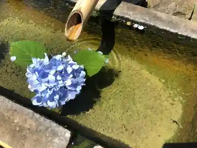 国宝 大法寺の手水舎