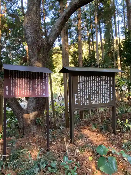 東大寺別院阿弥陀寺(山口県)