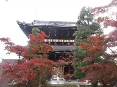 くろ谷 金戒光明寺の山門・神門