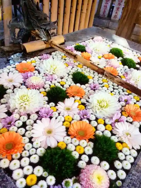 高円寺氷川神社(東京都)
