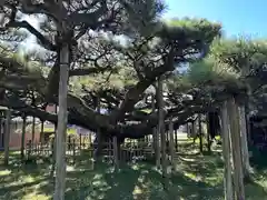 永安寺(愛知県)