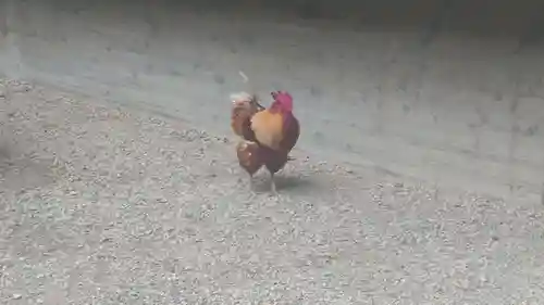 熱田神宮(愛知県)