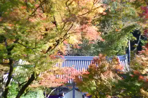 禅林寺（永観堂）(京都府)