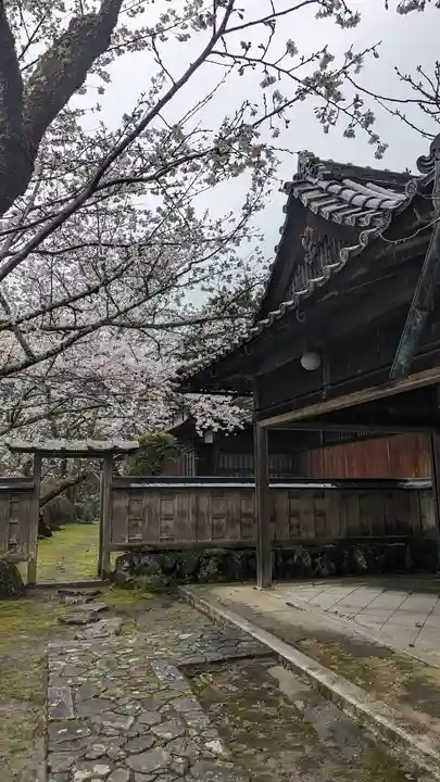 勝持寺(花の寺)(京都府)
