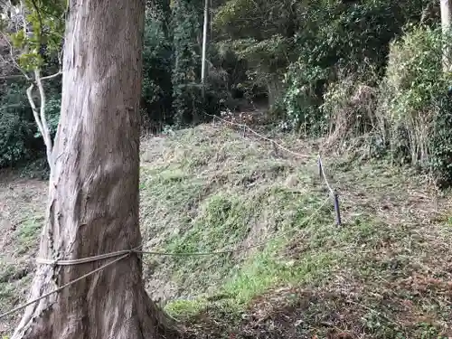 高皇産靈神社の自然