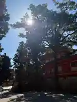 石清水八幡宮の{uncategorized: "未分類", other: "その他", undefined: "問題あり", building: "その他建物", grave: "お墓", sacred_gate: "鳥居", guardian: "狛犬", statue: "像", buddha: "仏像", history: "歴史", nature: "自然", garden: "庭園", animal: "動物", pagoda: "塔", temizu: "手水舎", mountain_gate: "山門・神門", sanctuary: "本殿・本堂", subordinate: "末社・摂社", art: "芸術", scenery: "景色", jizo: "地蔵", ema: "絵馬", goshuin: "御朱印", omikuji: "おみくじ", items: "授与品その他", amulet: "お守り", goshuincho: "御朱印帳", eats: "食事", festival: "お祭り", votive_dance: "神楽", shichigosan: "七五三参", wedding: "結婚式", experience: "体験その他", initially: "初詣", around: "周辺", anti_infection: "感染症対策"}