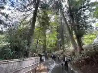 中尊寺 薬師堂(岩手県)
