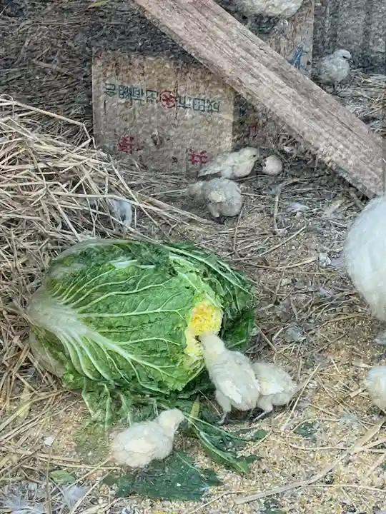 高屋敷稲荷神社(福島県)