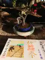 下野 星宮神社の御朱印