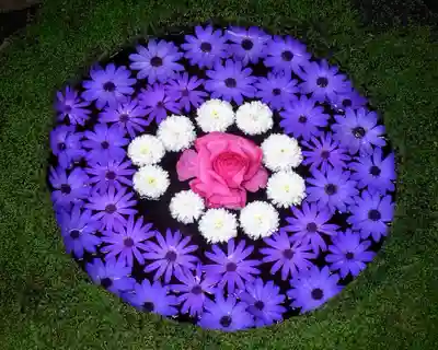 菅生神社(愛知県)