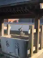 寿福寺の手水舎