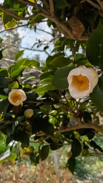 惠心院(恵心院)(京都府)