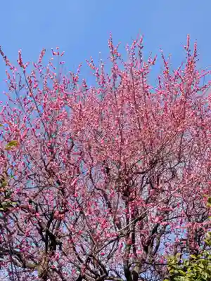 新井天神北野神社(東京都)