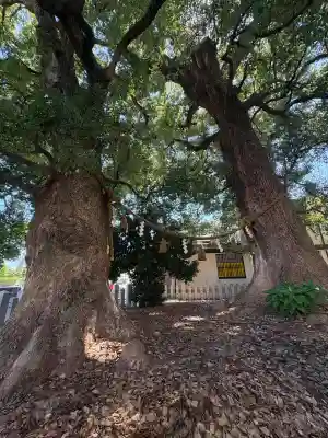 新庄之宮神社(広島県)